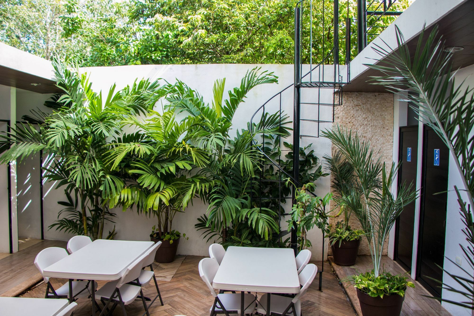Hostal Gayser Valladolid  Exterior foto
